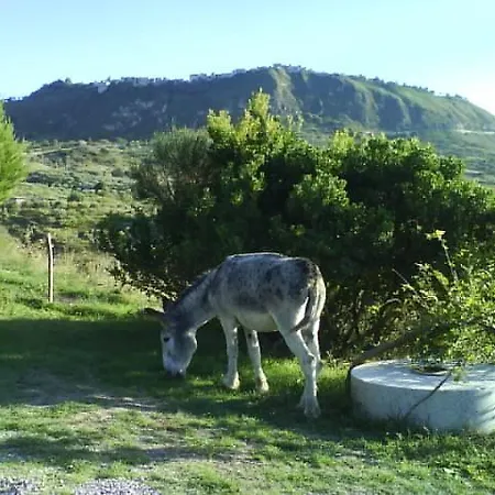 Giardino Donna Lavia