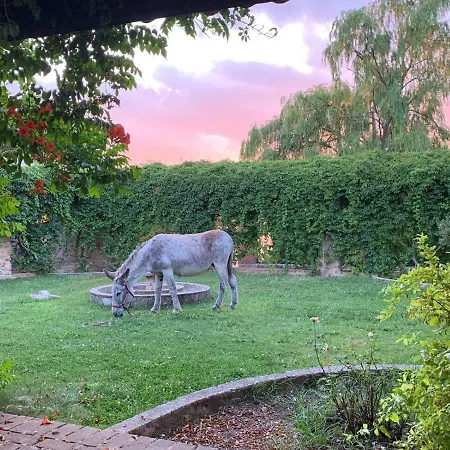 Giardino Donna Lavia Polizzi Generosa
